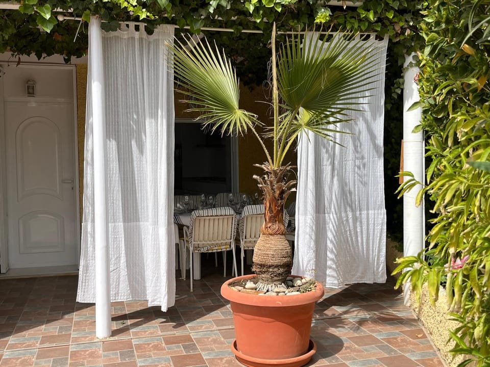 Patio, Garden