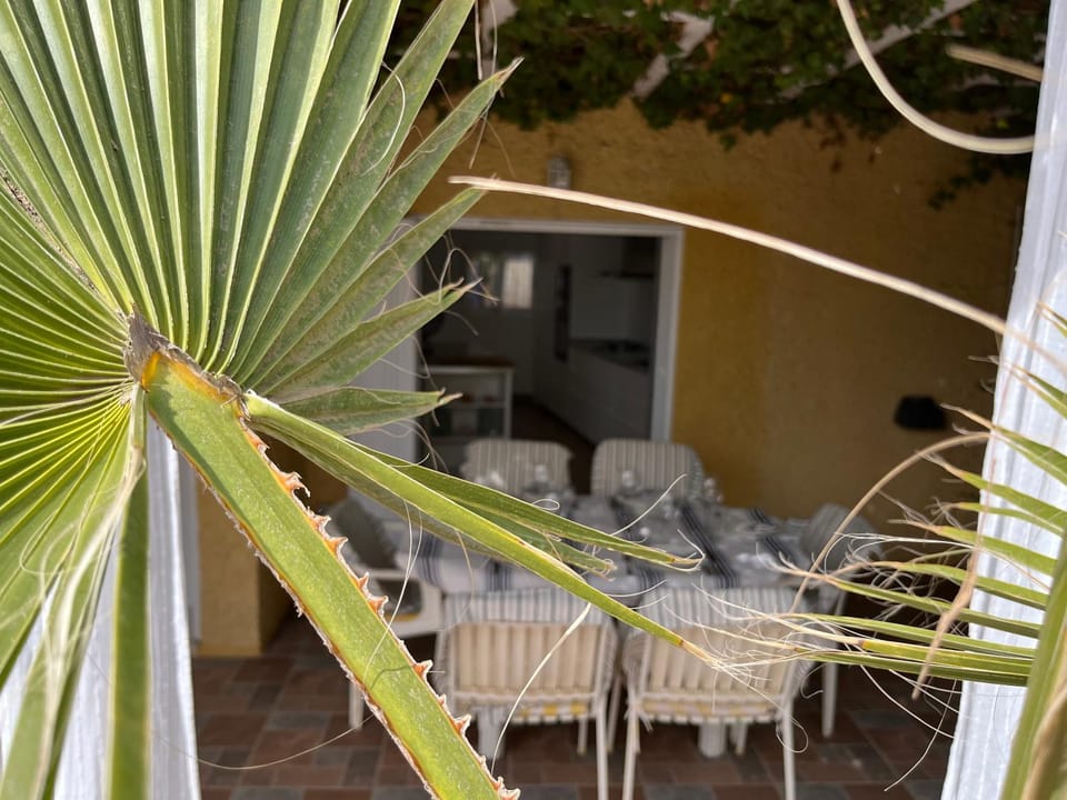 Patio, Day, Dining area
