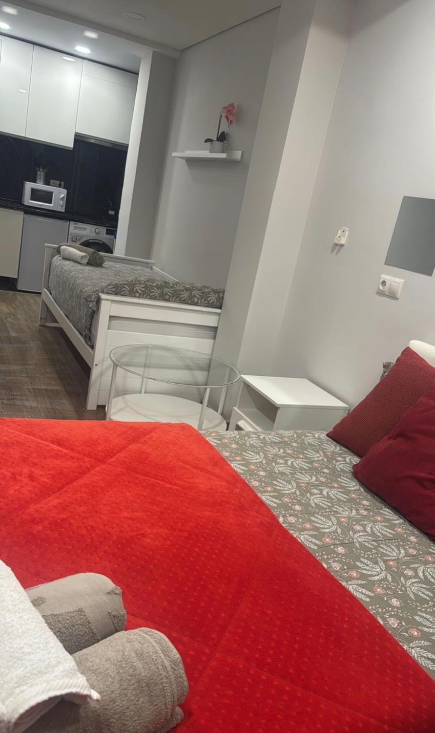 Plaza Pedro zerolo 1,5 Apartment in Centro