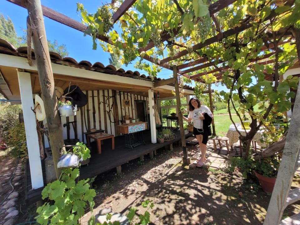 Patio, Spring, Day, Garden, Guests, Garden view