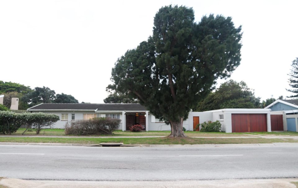 Property building, Day, Neighbourhood, Street view