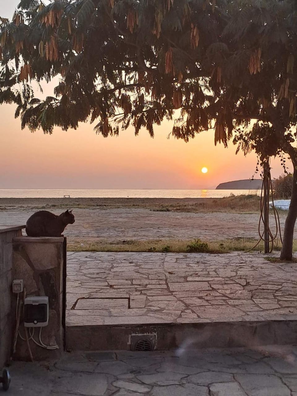 Balcony/Terrace, Beach, Sea view, Sunrise