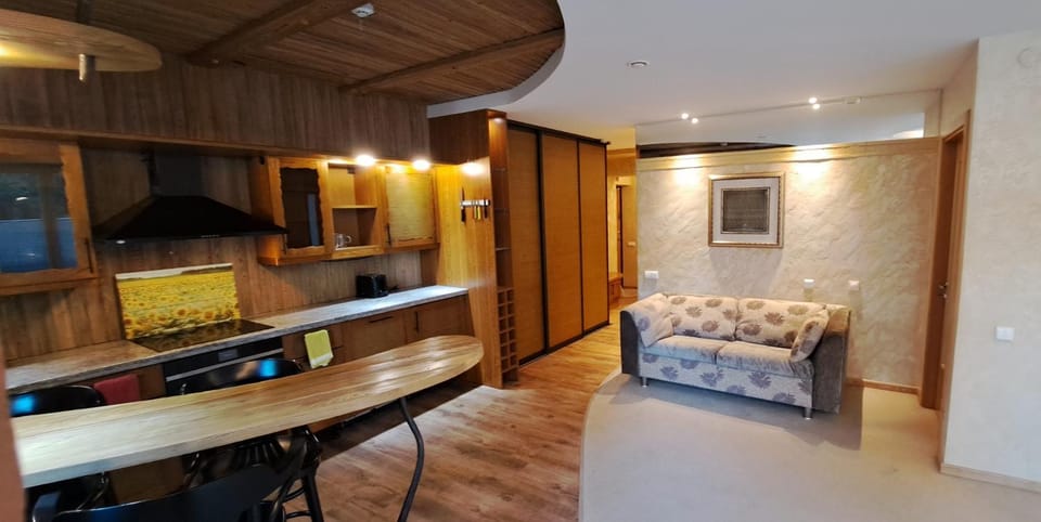 Kitchen or kitchenette, Dining area, stove