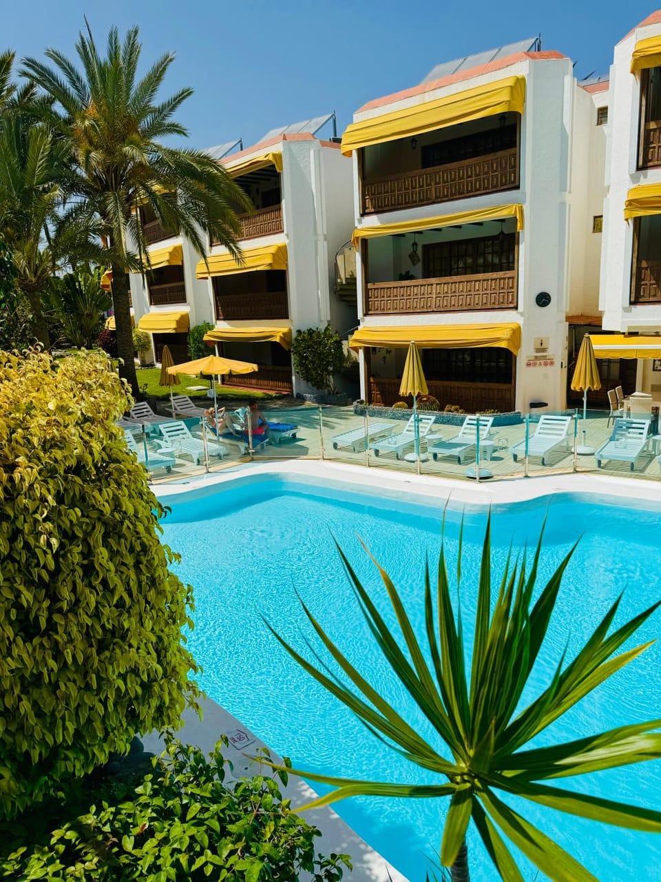 Property building, Swimming pool, sunbed