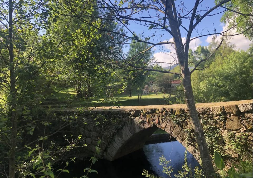 Natural landscape, River view