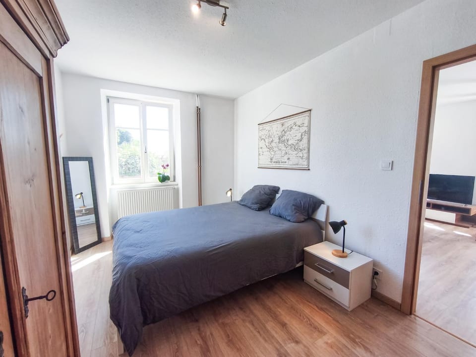 Dambach-la-Ville - PETFRIENDLY - Terrasse & Parking - Route des Vins d'Alsace Apartment in Grand Est