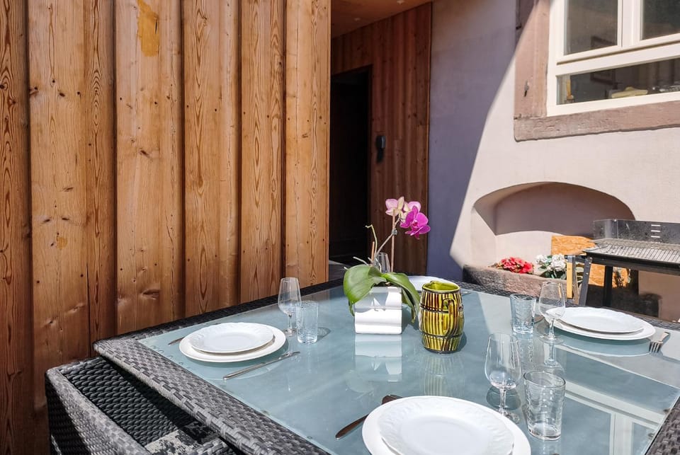 Dambach-la-Ville - PETFRIENDLY - Terrasse & Parking - Route des Vins d'Alsace Apartment in Grand Est