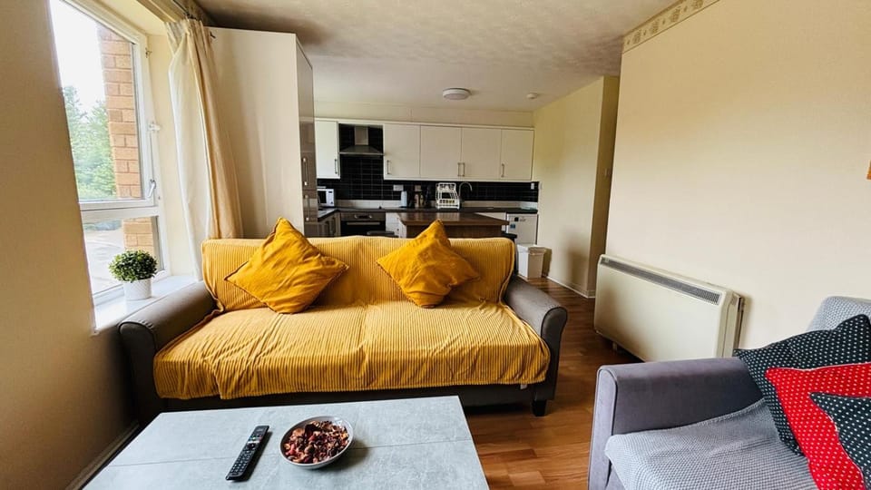 Kitchen or kitchenette, Living room, Photo of the whole room, Seating area, Dining area