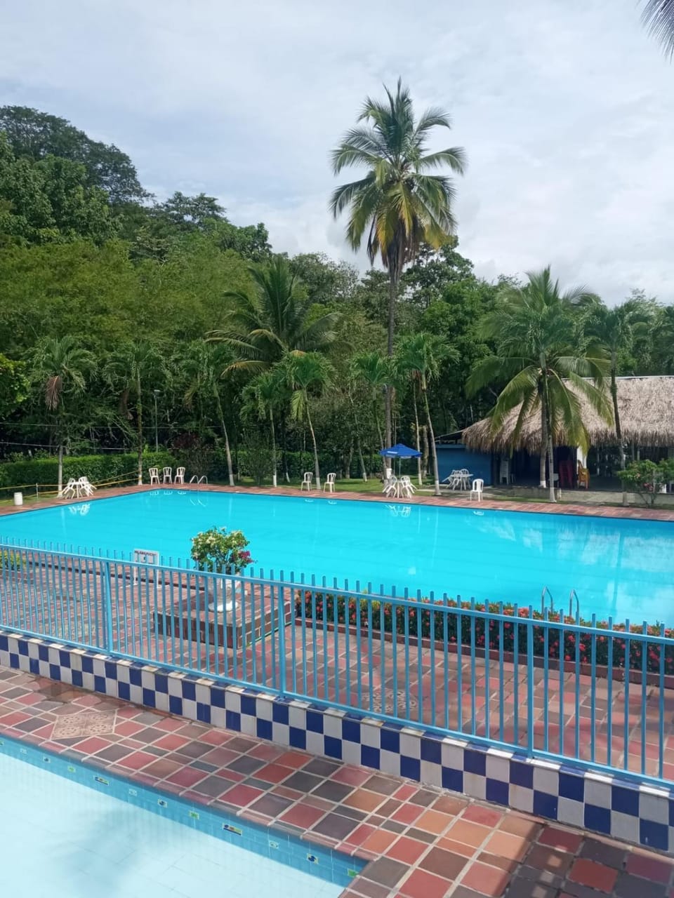 Swimming pool