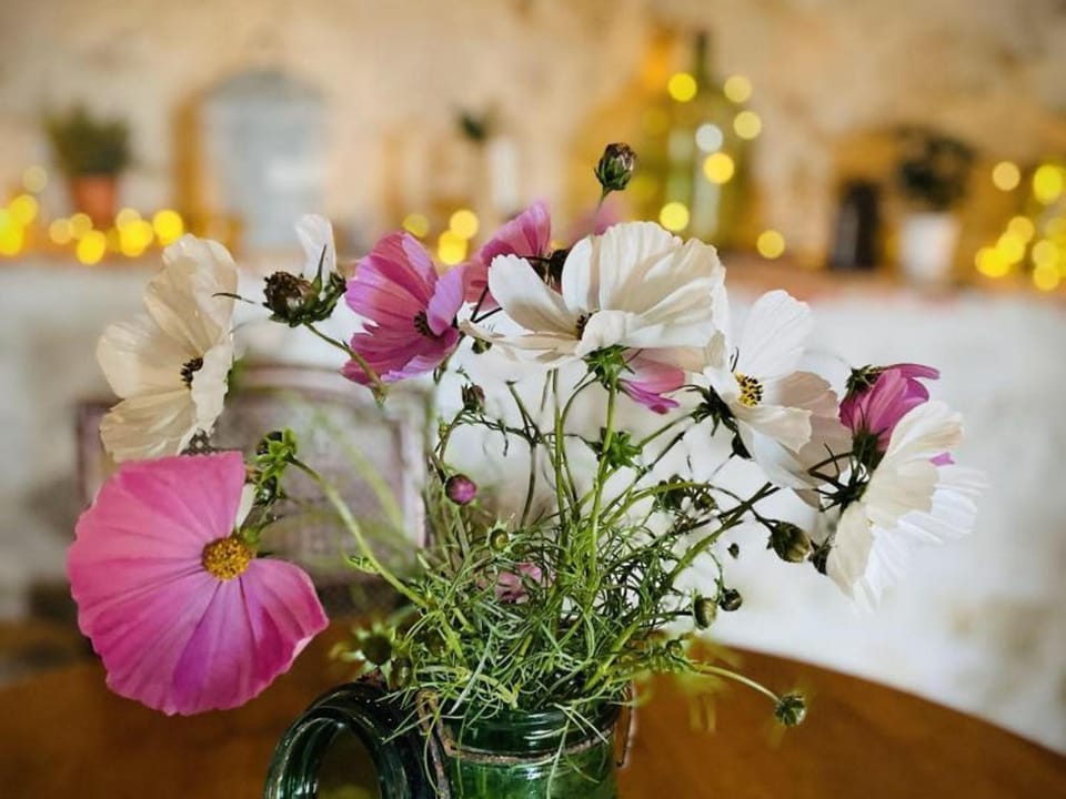 Chalet à Montaigu-le-Blin avec Spa et Parking - FR-1-489-522 House in Auvergne-Rhône-Alpes