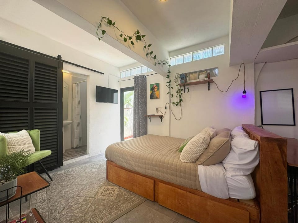 Studio Paloma - Zona Romantica Apartment in Puerto Vallarta