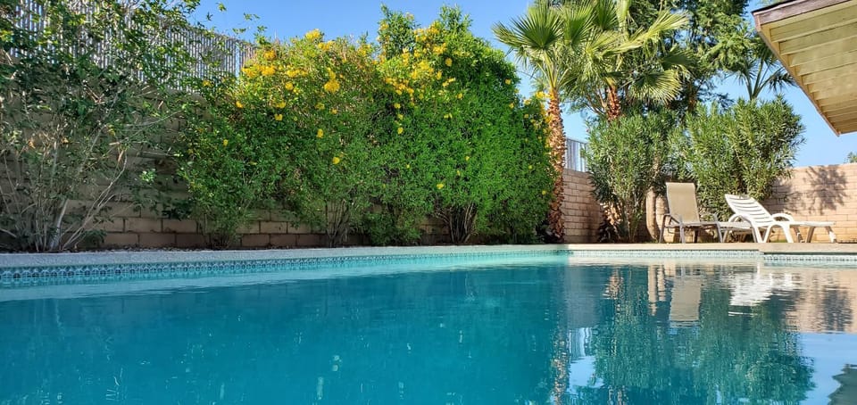 Pool view, Swimming pool, sunbed