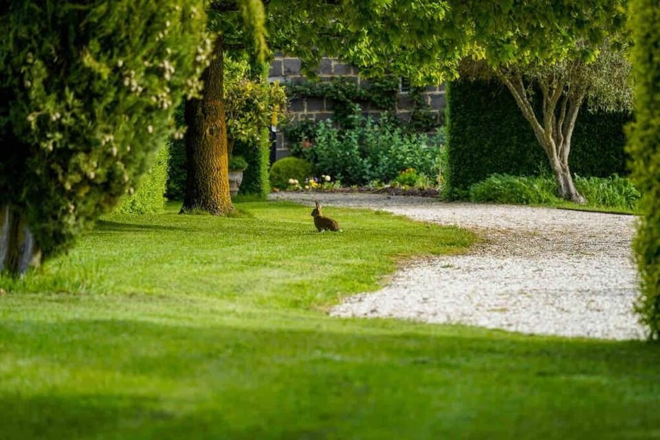 Honeysuckle Barn & Garden Villa in Kyneton