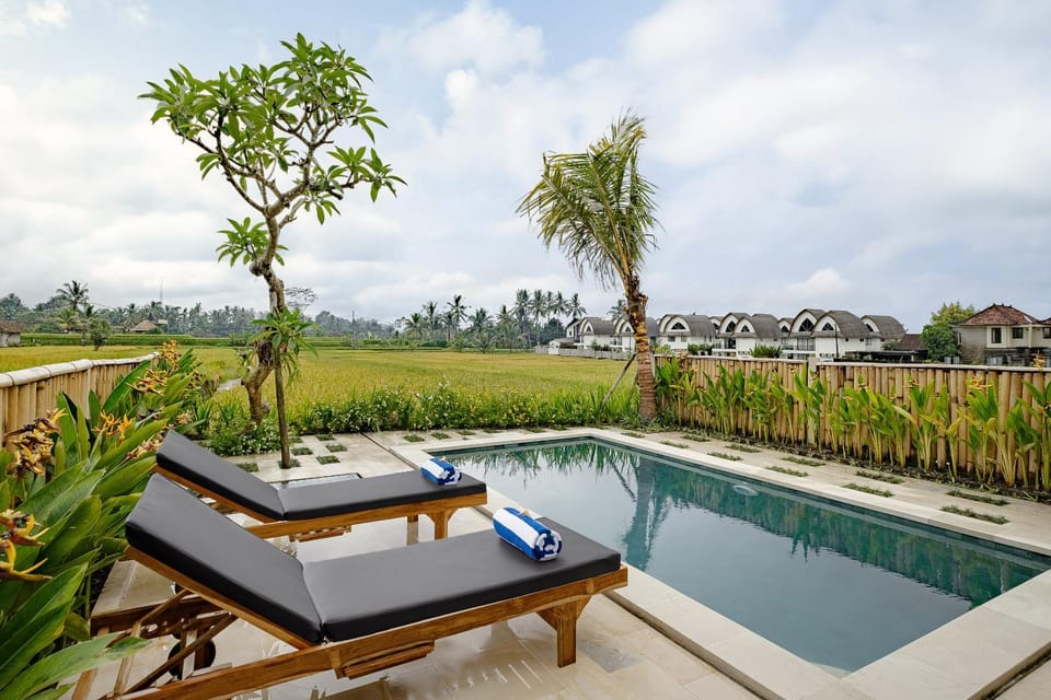Natural landscape, Garden, Garden view, Pool view, Swimming pool, sunbed