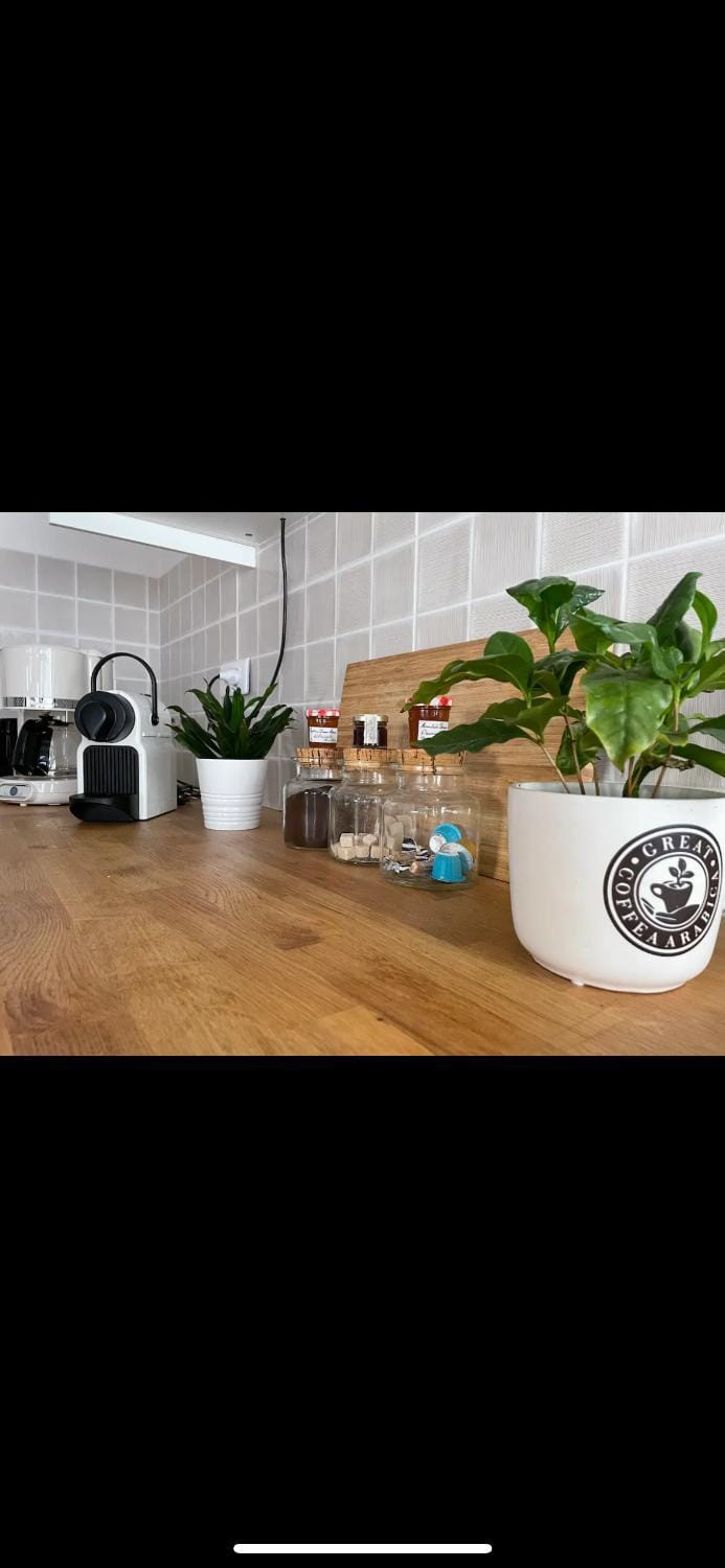 Le bateau ivre- historique Apartment in Brittany