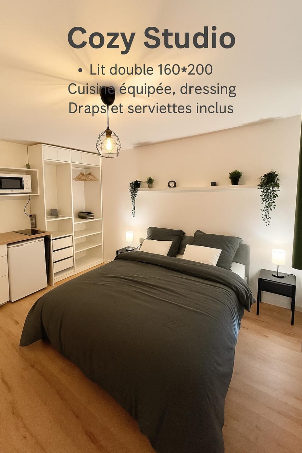 Photo of the whole room