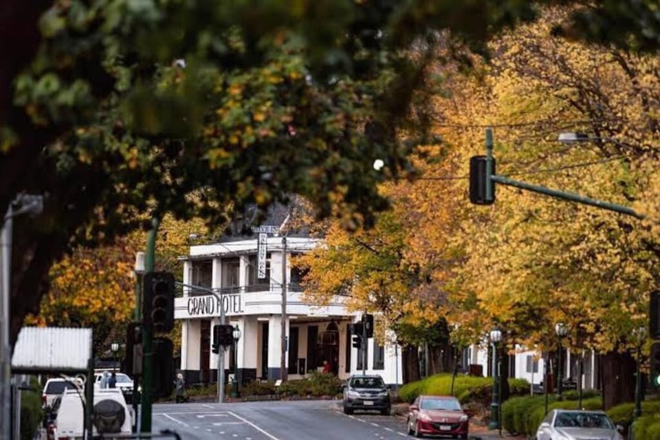 Gloria of Healesville House in Healesville