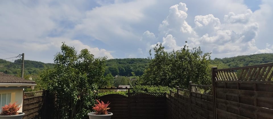 Natural landscape, Garden view