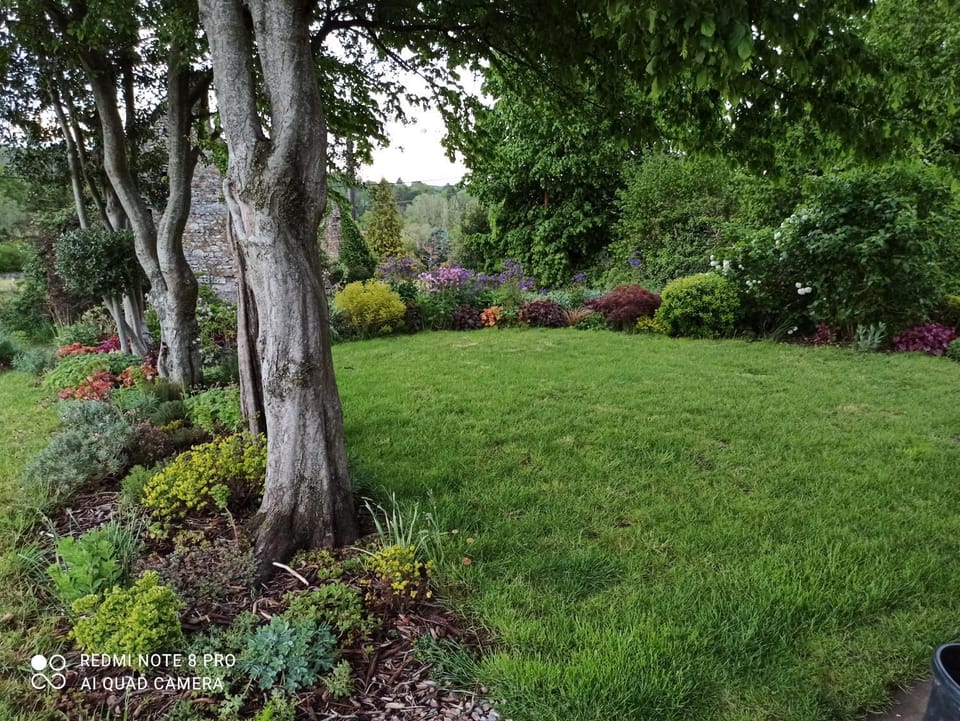 Spring, Natural landscape, Garden, Garden view