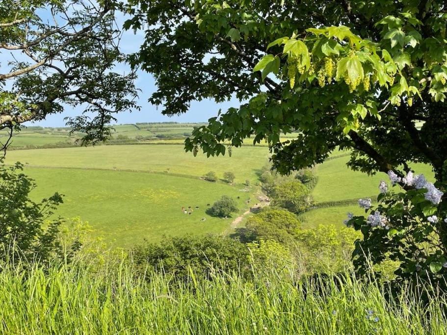 Natural landscape, Garden view