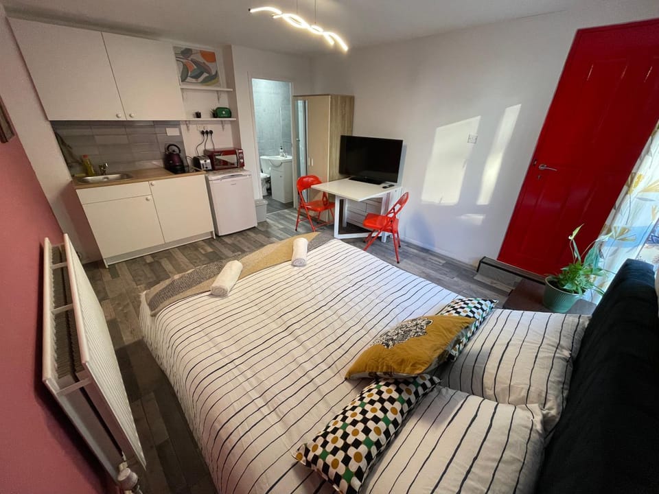 Bed, TV and multimedia, Kitchen or kitchenette, Photo of the whole room, Bedroom, wardrobe