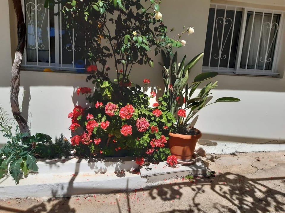 Traditional House with breathtaking view, Makis Apartment in Lefkada, Lefkada Municipality, Greece