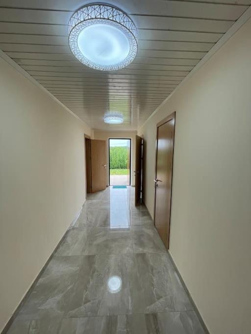 Cozy House Surrounded by Firs House in Moldova