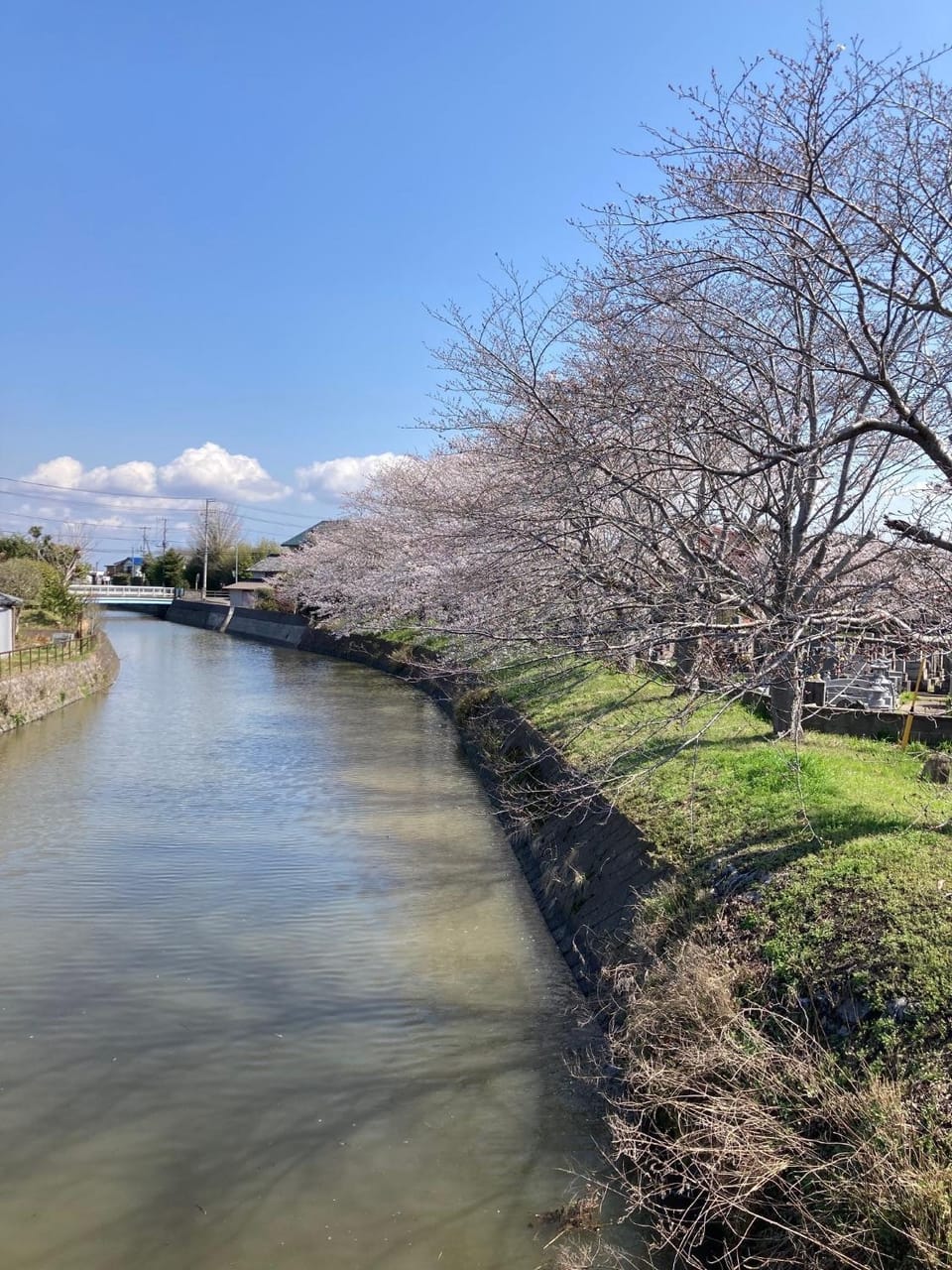 Narita Airport Samurai Guesthouse -In front of Train Station- Hostel in Narita