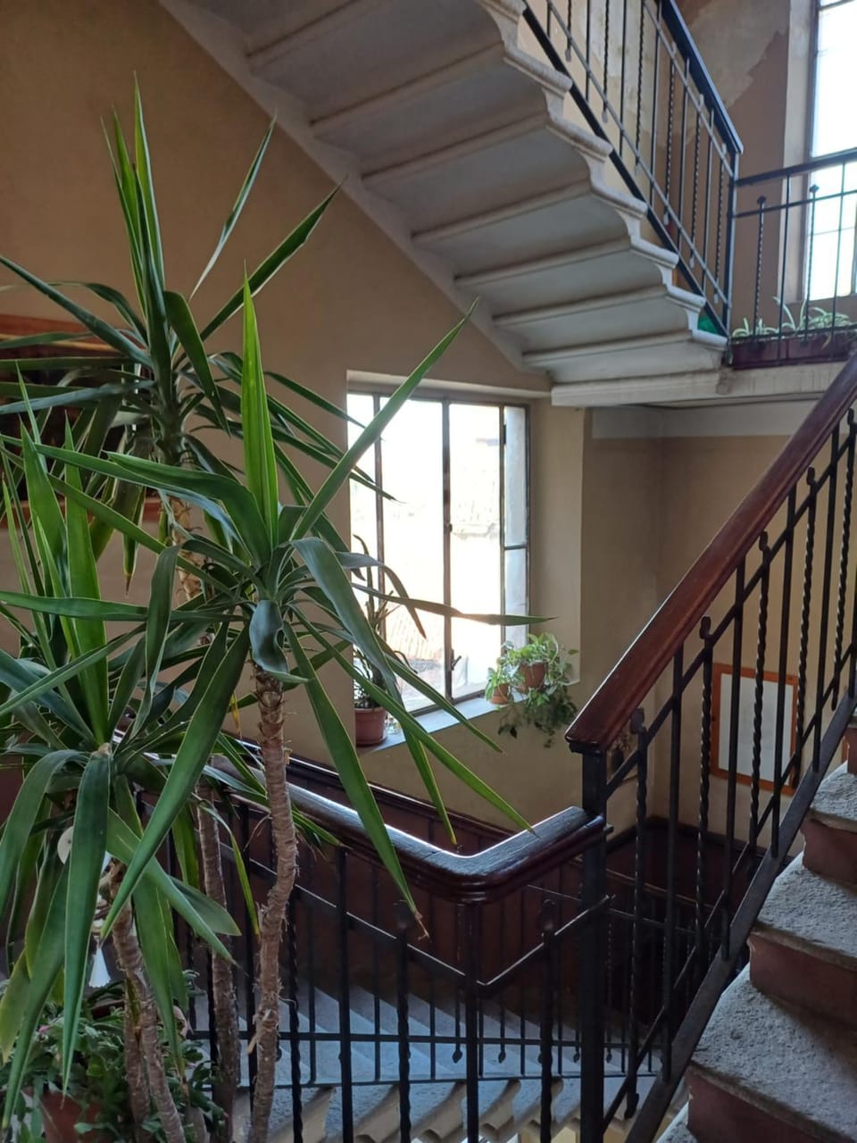 Casa Clara Apartment in Cremona