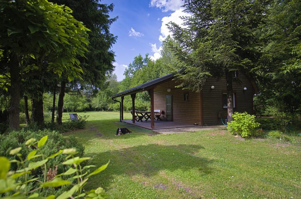 Property building, Garden view