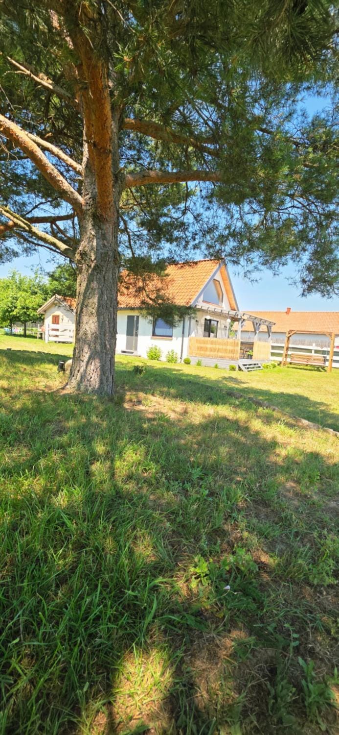 W ładnym polu n1 House in Poland