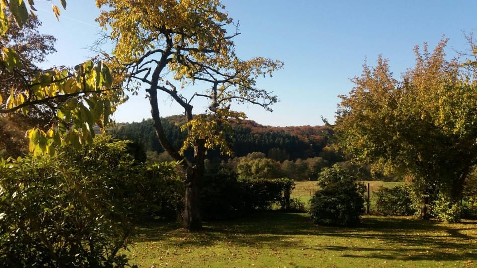 View (from property/room), Garden view