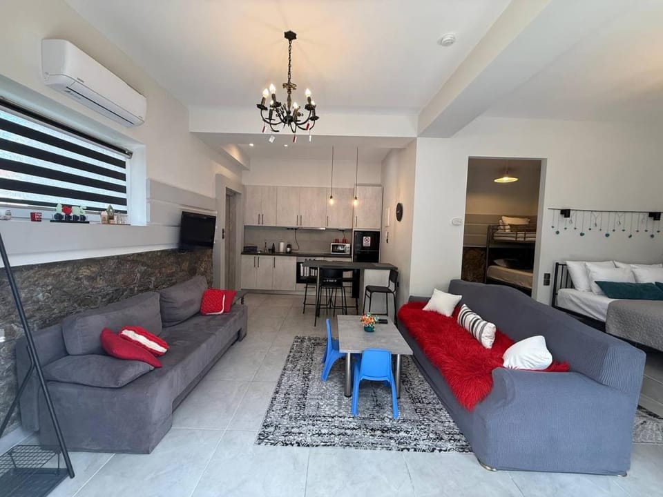 Kitchen or kitchenette, Living room, Seating area, Dining area, stove, air conditioner