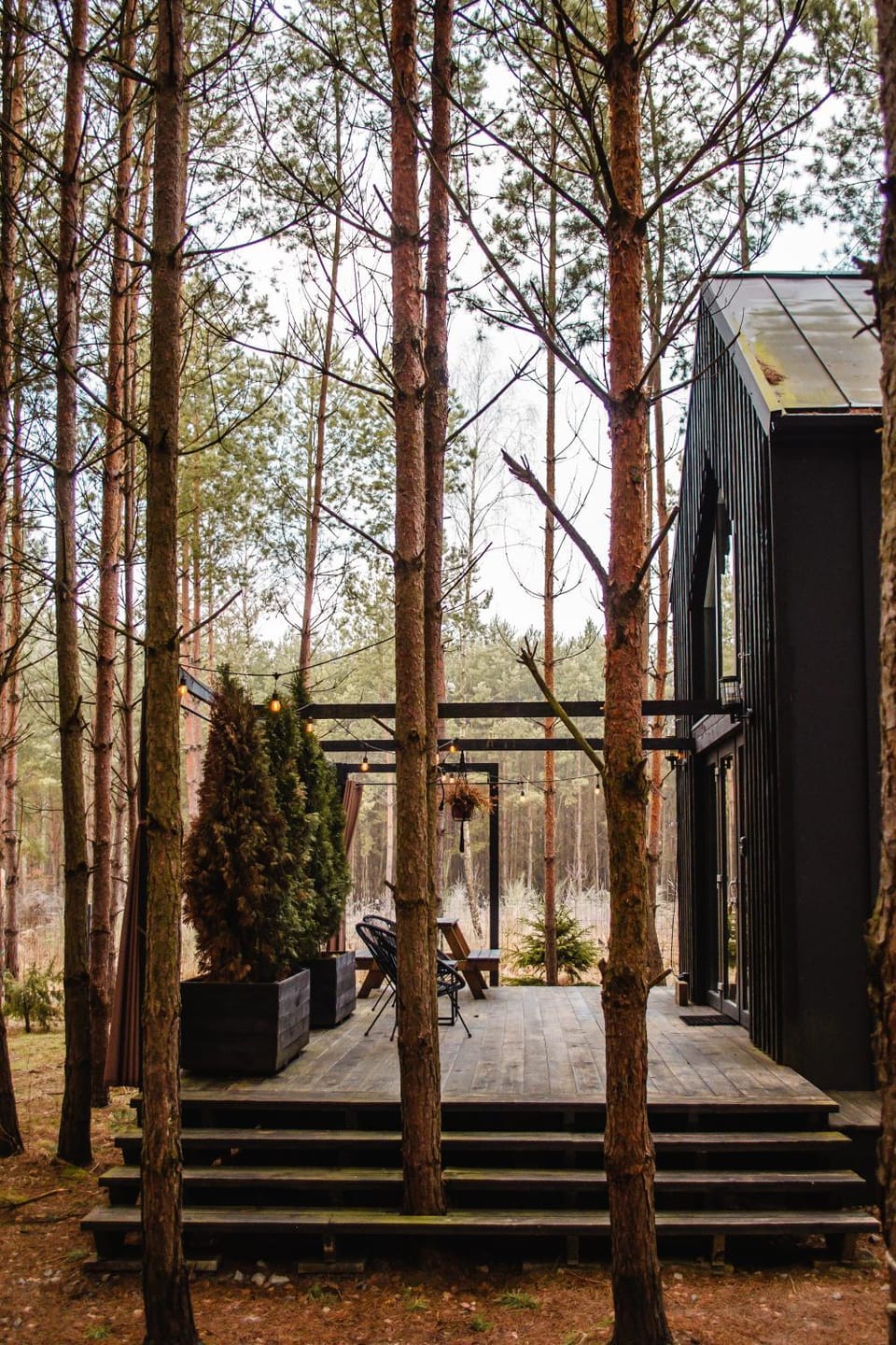Domek SzumiSosna1 House in Poland