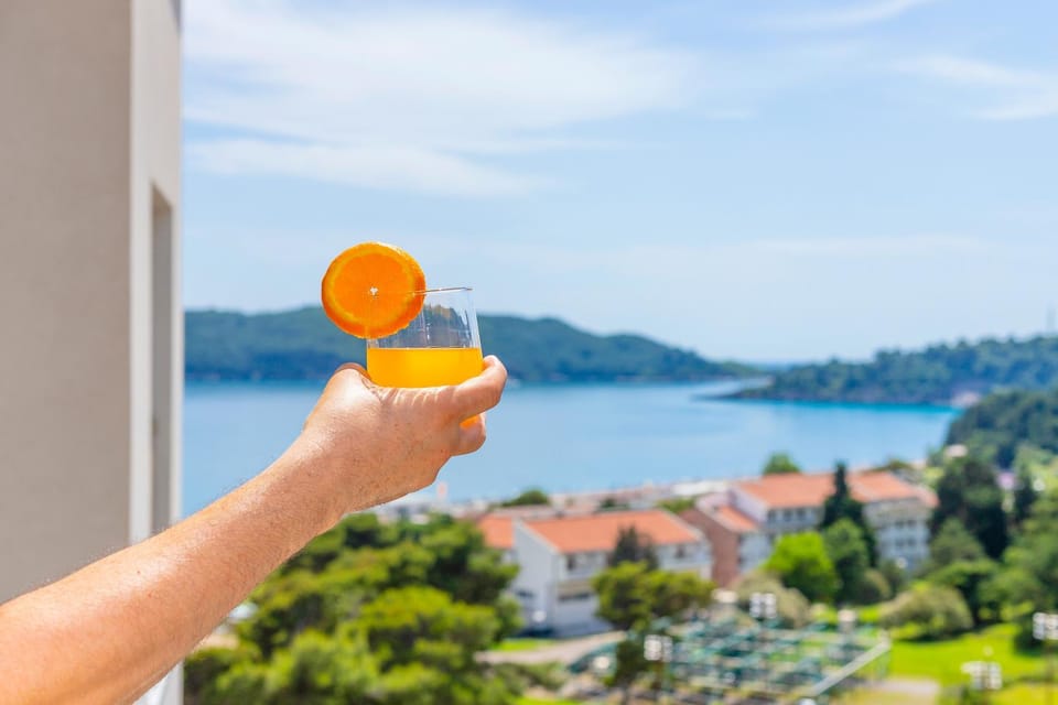 ID LUX APARTMENTS Apartment in Budva Municipality