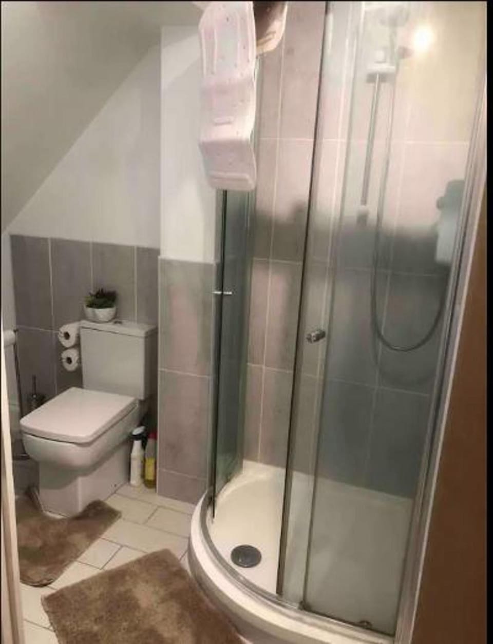 Shower, Toilet