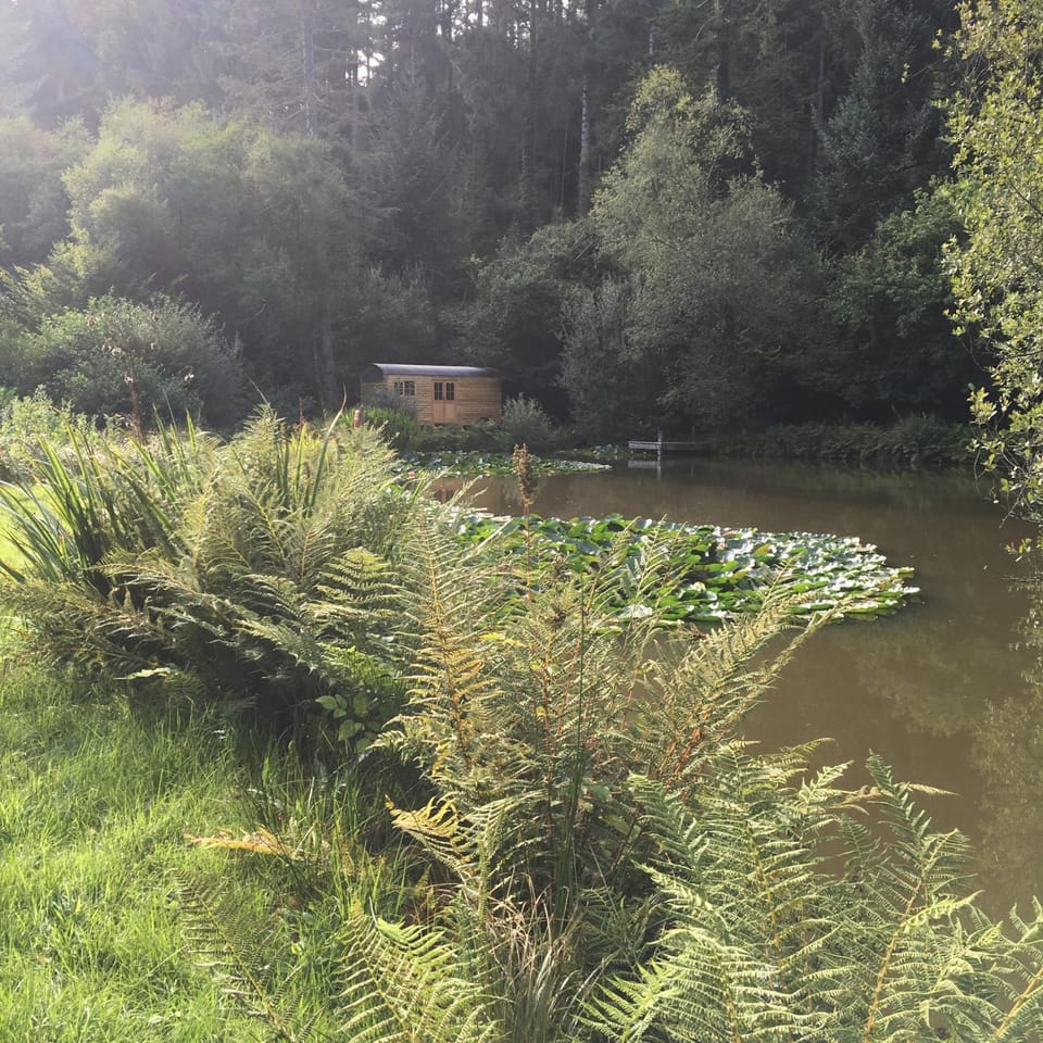 Property building, Natural landscape, Lake view