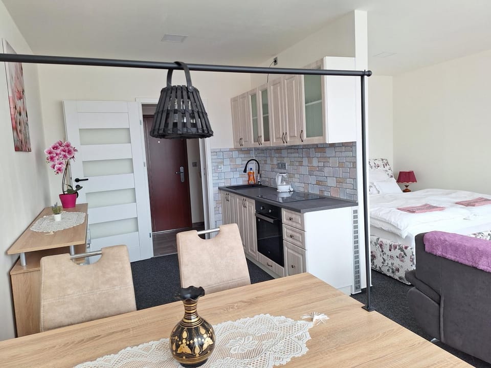 Rezidence BARA Apartment in Lower Silesian Voivodeship