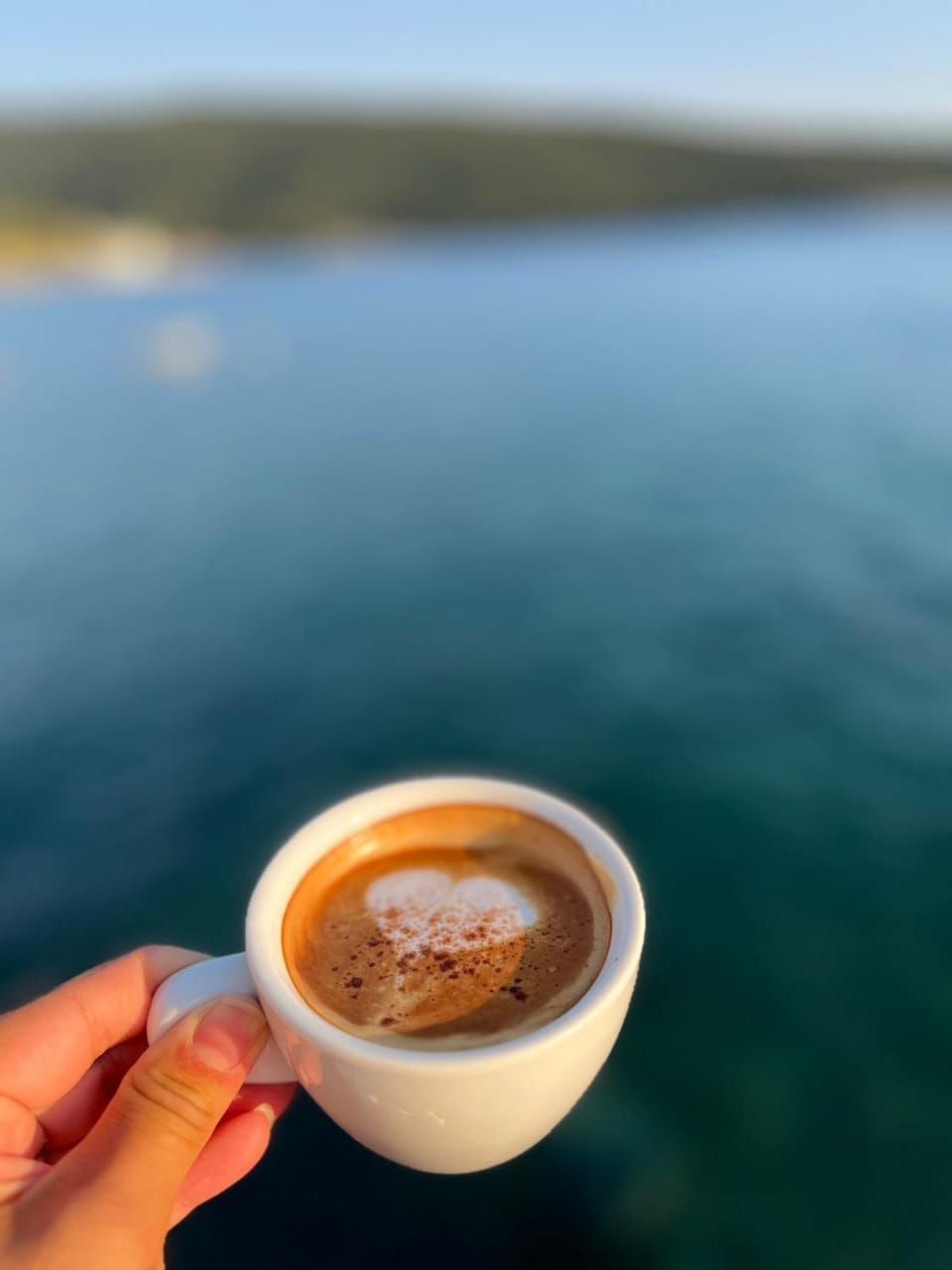 ALOHA Beach front Vacation Rental Apartment in Ulcinj Municipality