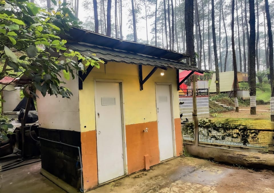Toilet, Property building, Day