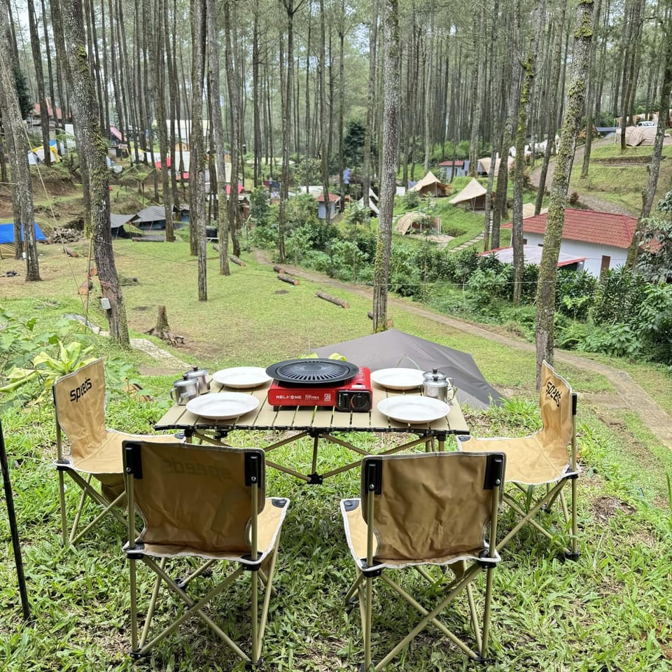 Restaurant/places to eat, Spring, Day, Natural landscape, Dining area, Garden view