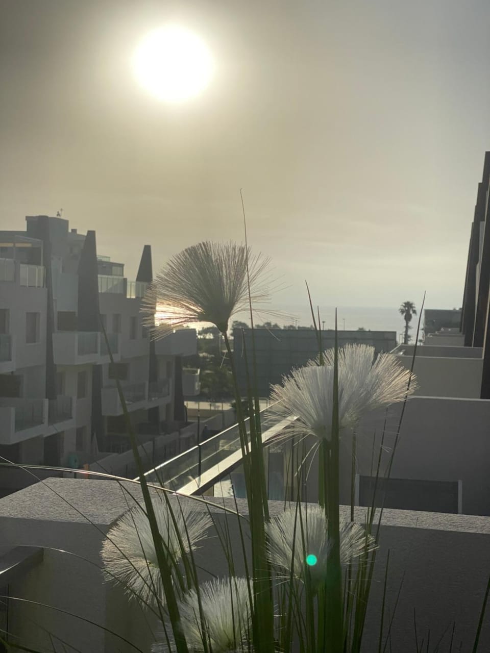 Sea view