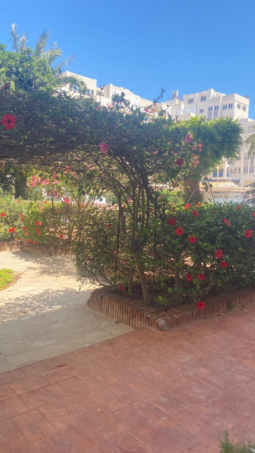 Apartamento en playa Serena Apartment in Roquetas de Mar
