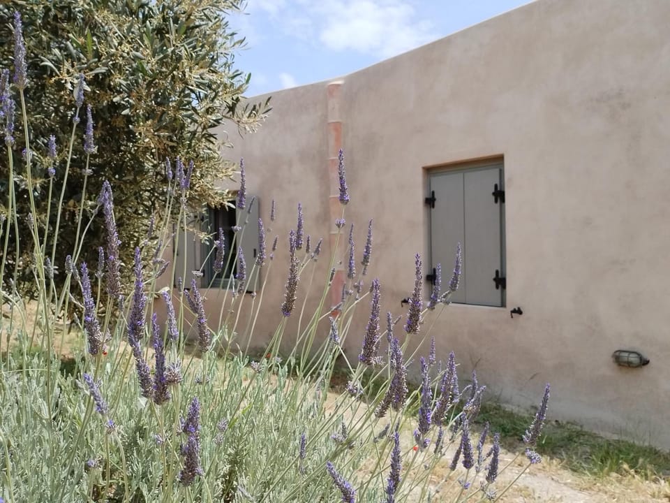 Oxalis Villas Villa in Islands