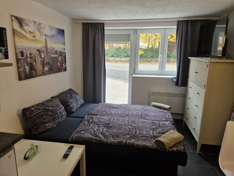 Somptueux Studio à Unterheinriet Apartment in Baden-Württemberg