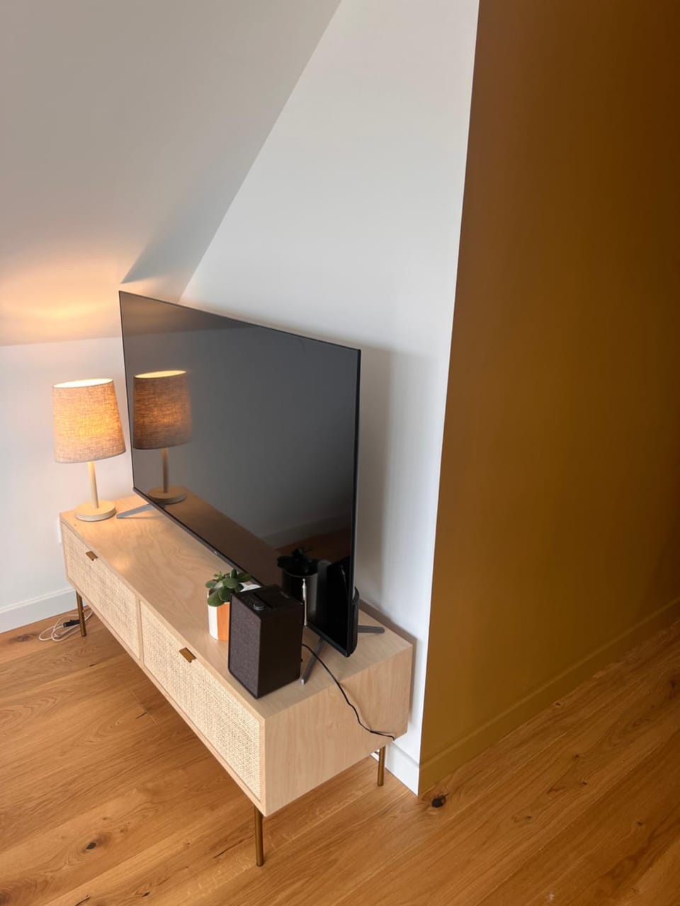 TV and multimedia