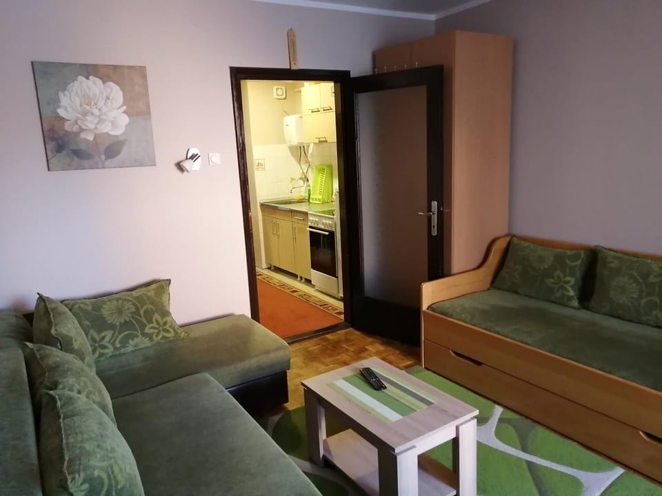 Kovač 11 Apartment in Zlatibor