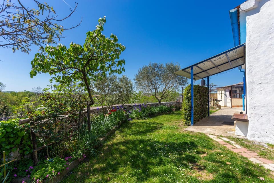 Garden, Garden view