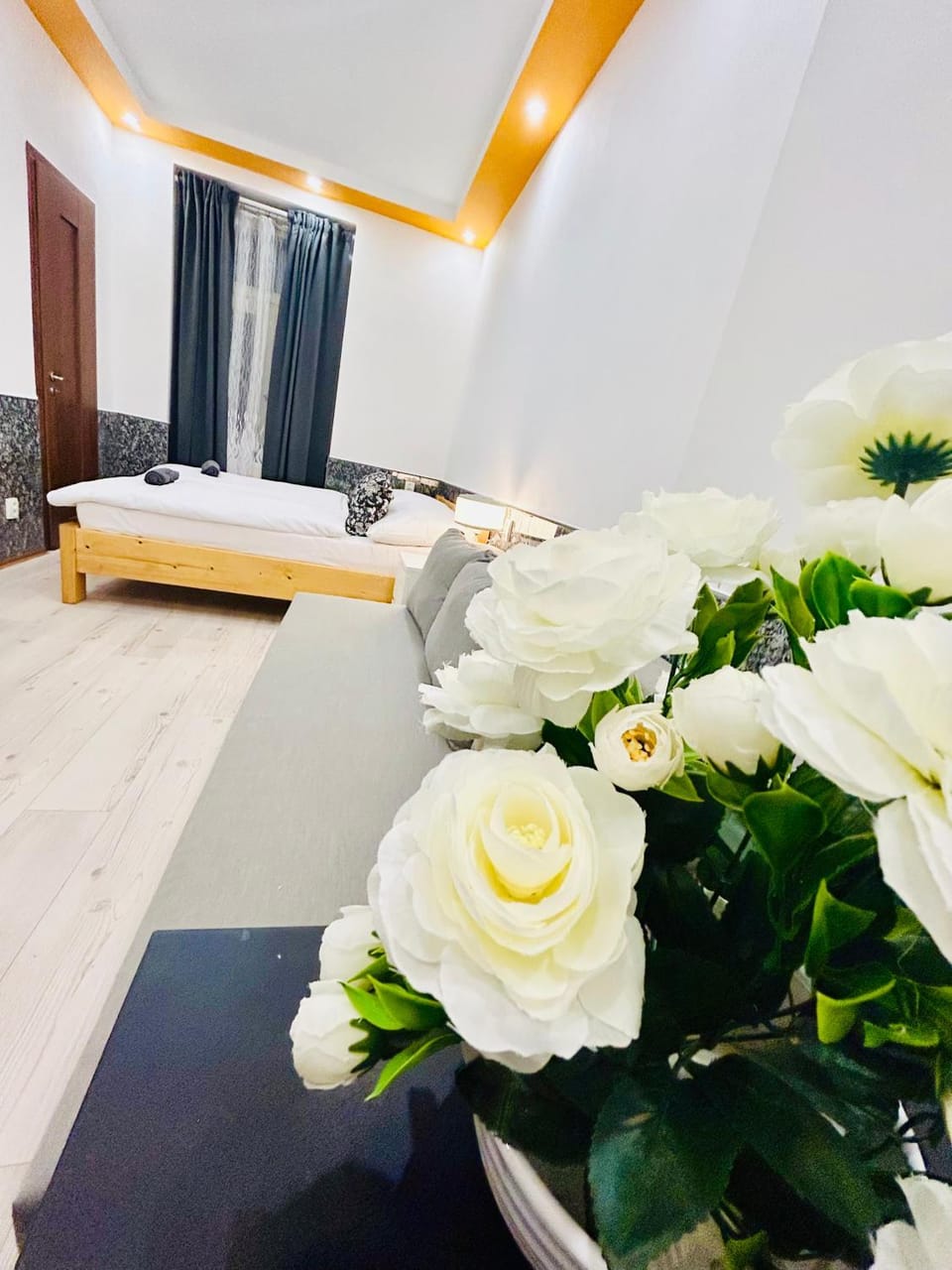 Modern Spacious Apartment in center Prague Apartment in Prague