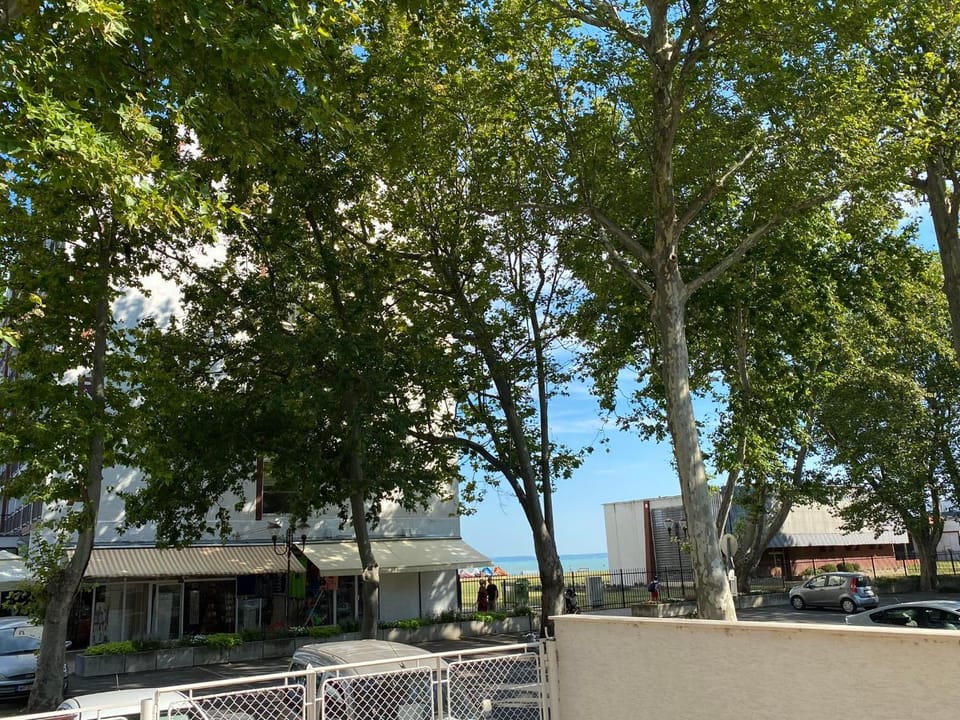 Day, Lake view